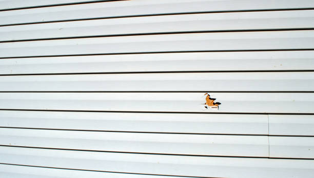 Best Composite Siding  in Bangor, ME