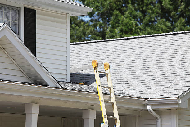 Best Wood Siding Installation  in Bangor, ME