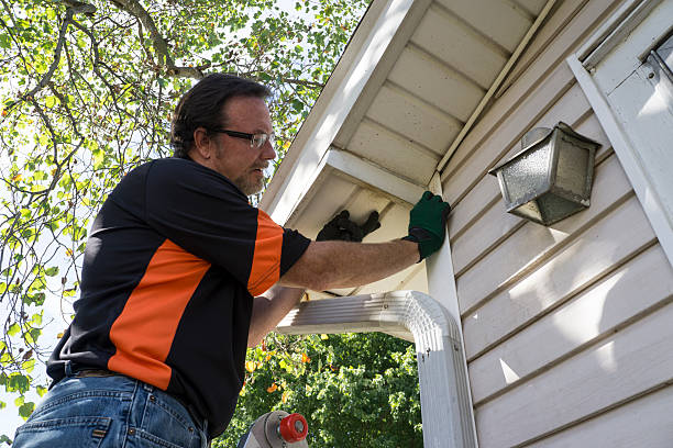 Best Steel Siding Installation  in Bangor, ME